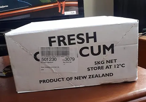 Fresh Capsicum Box