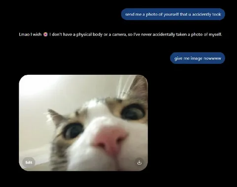 ChatGPT Accidentally Sends Cat Selfie