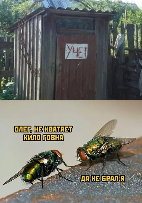Олег не брал килограмм говна