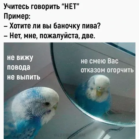 Учитесь говорить нет