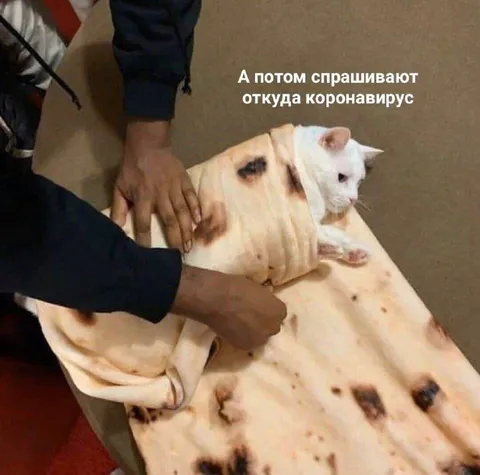Откуда коронавирус