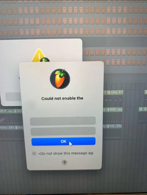 Could Not Enable the Plugin