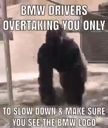 BMW Drivers Showing the Logo