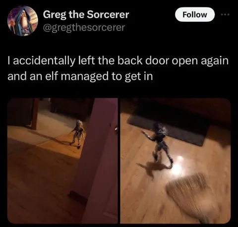 Accidental Elf Intruder
