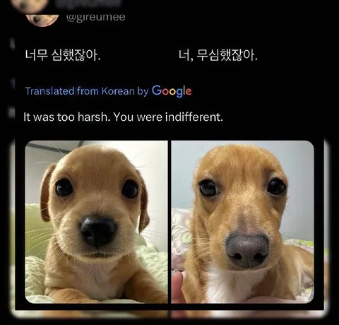 너무 심했잖아, 너 무심했잖아