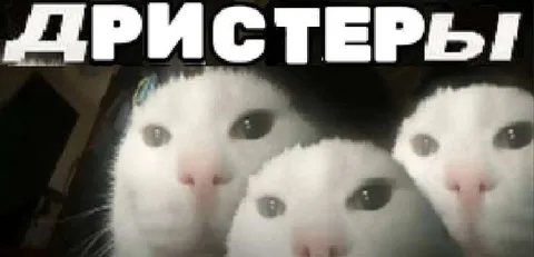 Три кота-дристерa