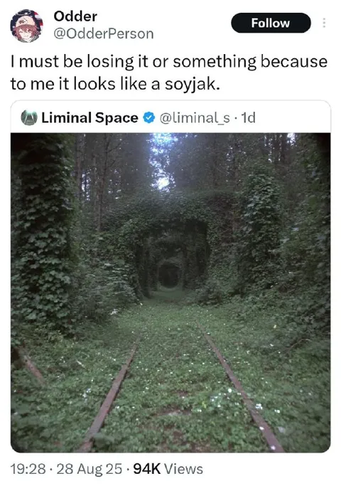 Forest Tracks Look Like Soyjak