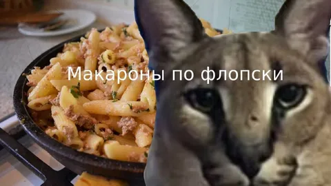 Макароны по флотски и грустный кот