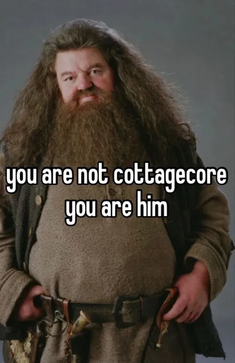 You Are Him Cottagecore