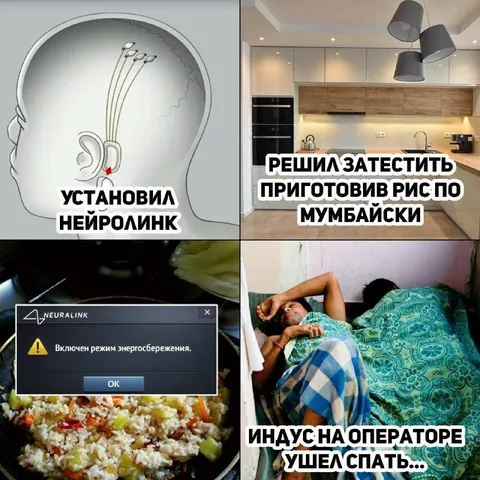Нейролинк и рис по-мумбайски