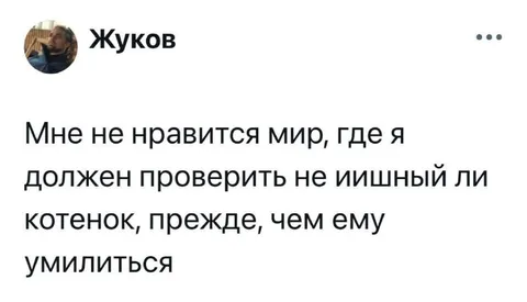 Проверка котёнка перед умилением