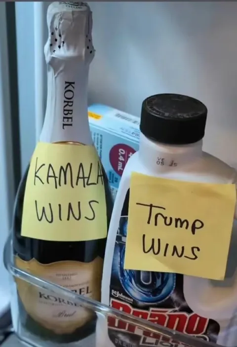 Kamala Wins Trump Wins Shelf