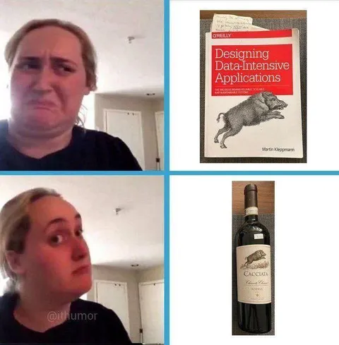 Designing Data-Intensive Applications Wine