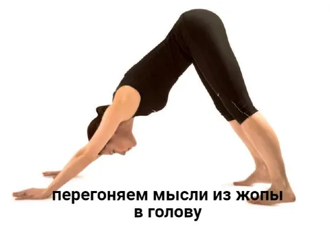 Перегоняем мысли из жопы в голову
