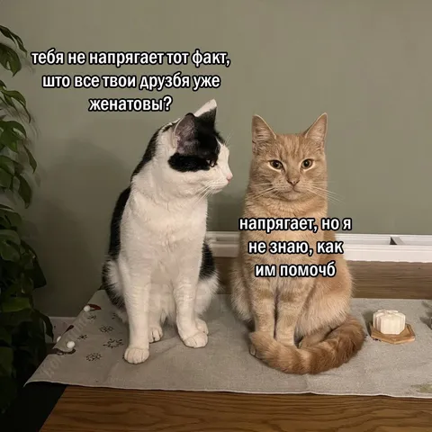 Все друзья уже женаты
