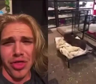 Стив капибара наслаждается едой