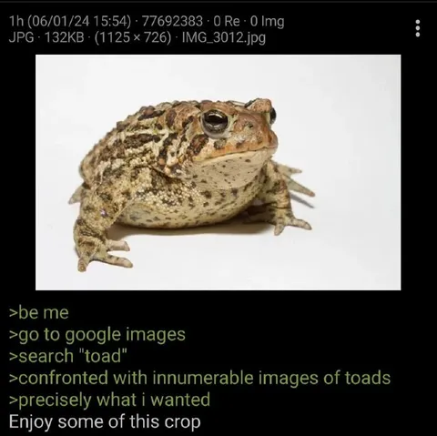 Search Toad, Find Toads
