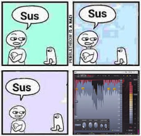 Sus Audio Waveform