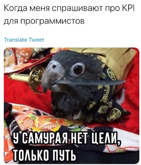Самурай без цели