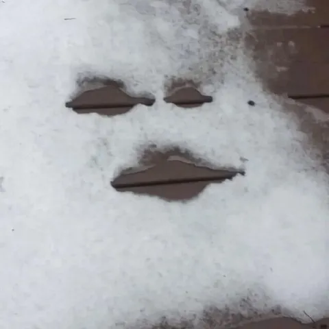 Лицо в снегу