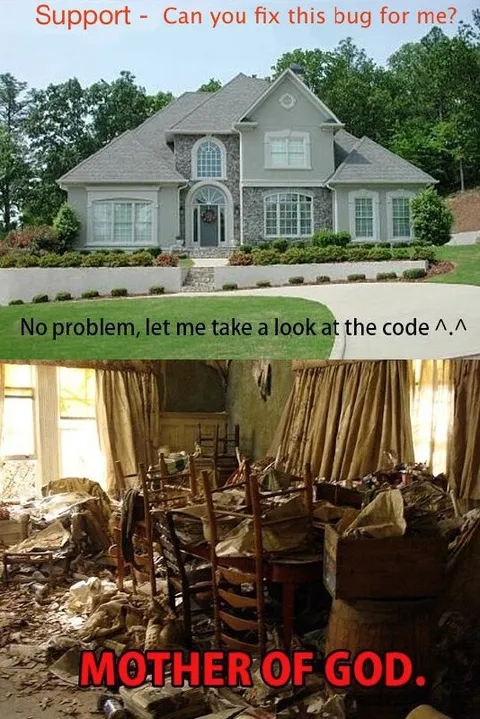 When the Code Is a Disaster