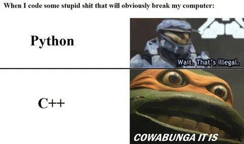 Python C++ Cowabunga Coding Meme