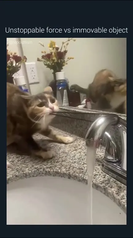Cat Versus the Unstoppable Faucet