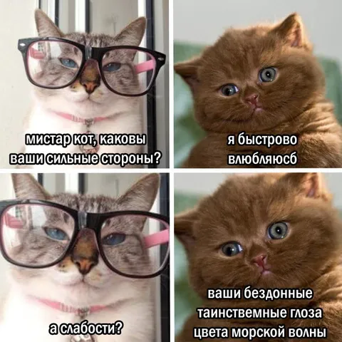 Кот и бездонные глаза