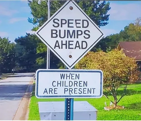 Speed Bumps When Children Are Present