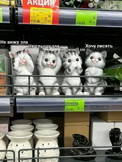 Котики не видят зла