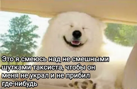 Смеюсь над шутками таксиста