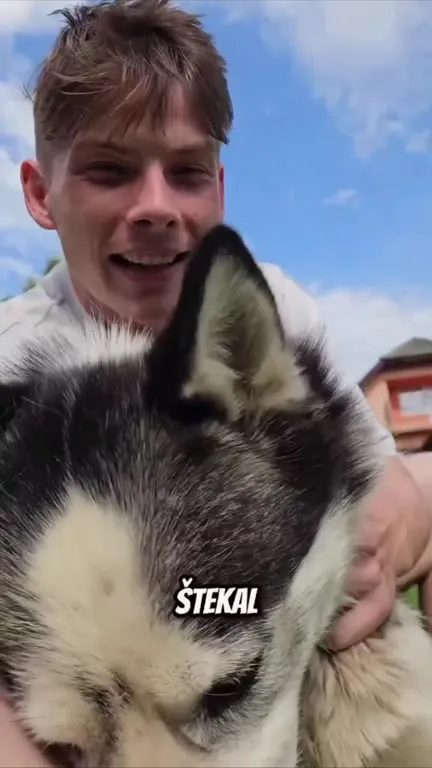 Hádaj, kto štekal