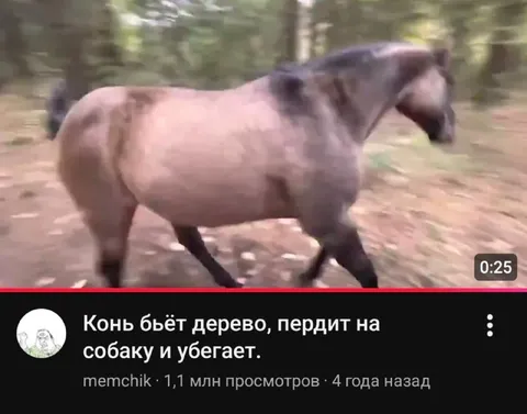 Конь бьёт дерево и убегает
