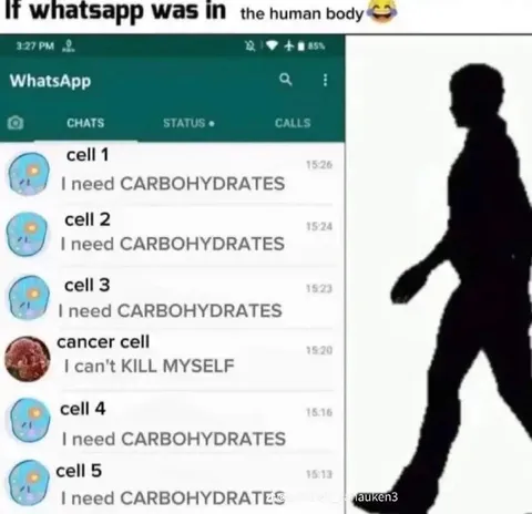 WhatsApp Inside the Human Body