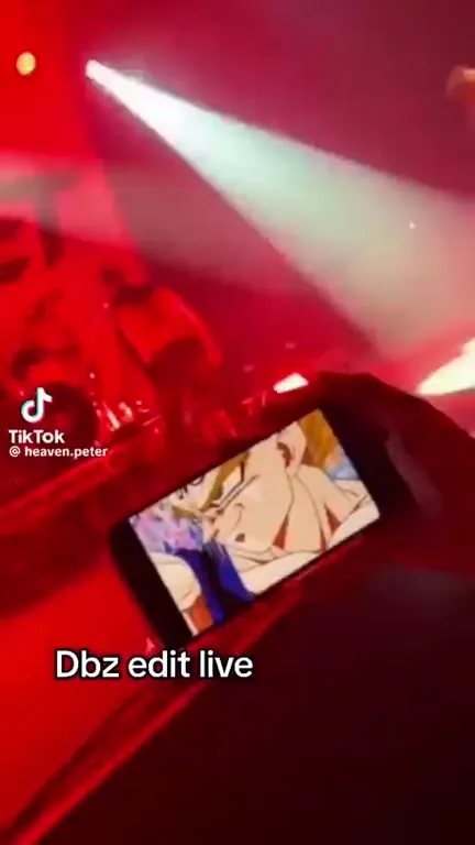 Dragon Ball Z Edit at a Concert