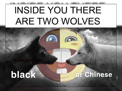 Two Wolves Inside You