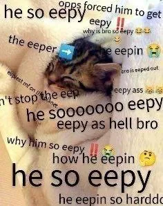 He So Eepy Cat