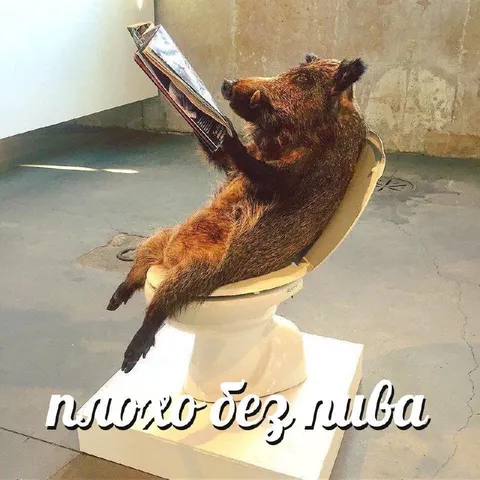 Кабан скучает без пива