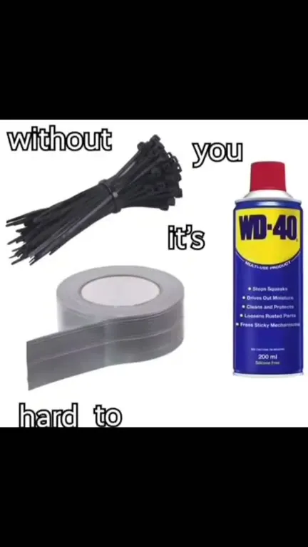 Without You, It’s Hard to Survive