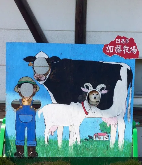 牧場の顔出し看板
