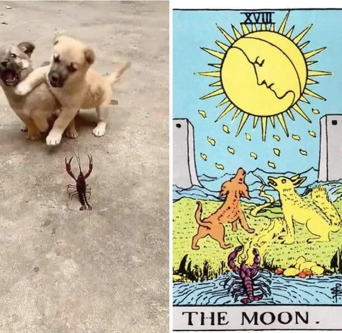 Puppies and the Moon