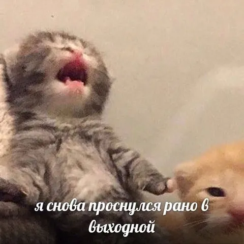 Проснулся рано в выходной