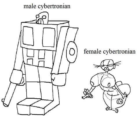 Male and Female Cybertronians