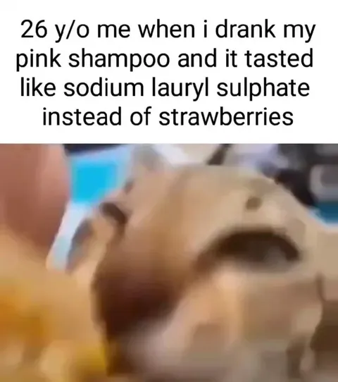 Shocked Cat Tastes Shampoo