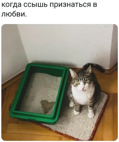 Когда признаёшься в любви