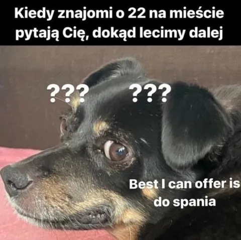 Kiedy znajomi pytają o 22