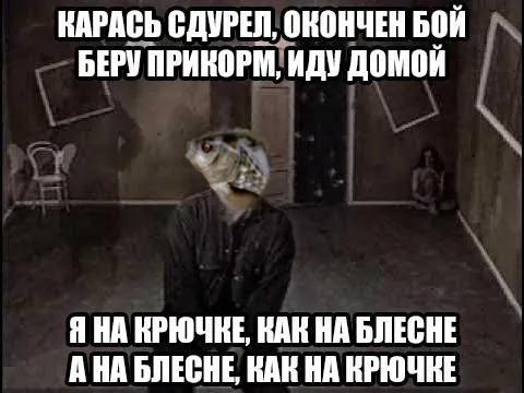 Карась сдурел, окончен бой