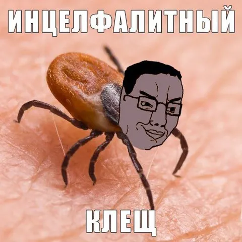 Инцел фалитный клещ