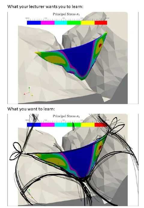 What Your Lecturer Wants You to Learn