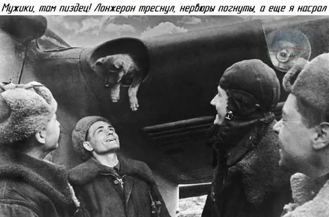Мужики, там пиздец